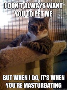 The Most Interesting Cat in the World