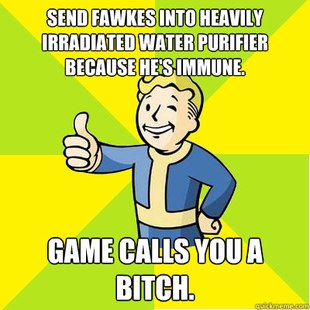 Fallout New Vegas