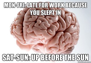 Scumbag Brain