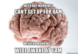 Scumbag Brain