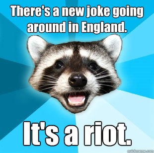 Lame Pun Coon
