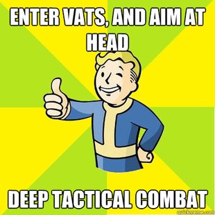 Fallout new vegas
