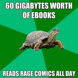Torrenting Turtle