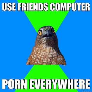 Hawkward