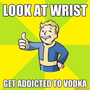 Fallout new vegas