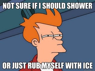 Futurama Fry