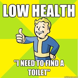 Fallout new vegas
