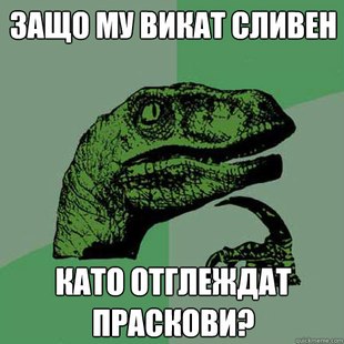 Philosoraptor
