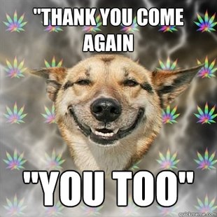 Stoner Dog