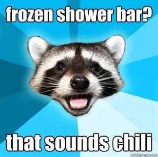 Lame Pun Coon