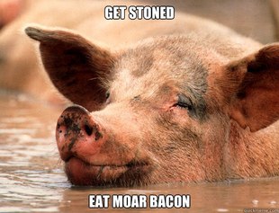Stoner Pig