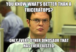 Schrute