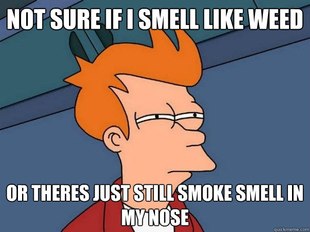 Futurama Fry