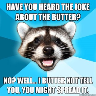 Lame Pun Coon