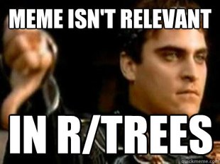 Downvoting Roman