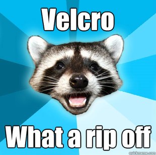 Lame Pun Coon