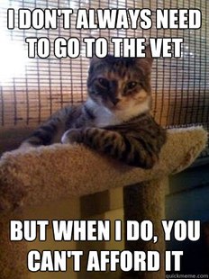 The Most Interesting Cat in the World