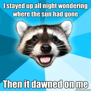 Lame Pun Coon