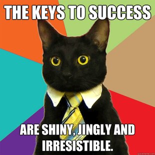 Business Cat