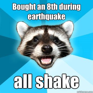 Lame Pun Coon