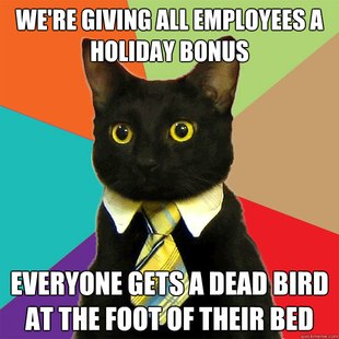 Business Cat