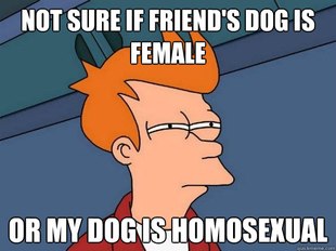 Futurama Fry