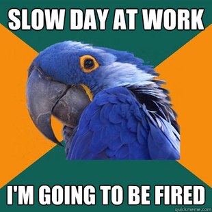 Paranoid Parrot