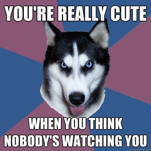 Creeper Canine