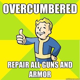Fallout new vegas