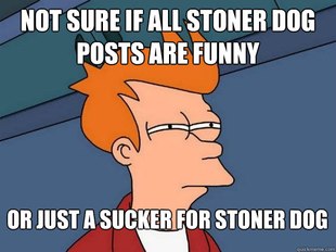 Futurama Fry