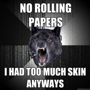 Insanity Wolf