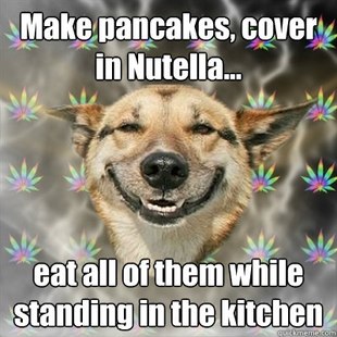 Stoner Dog