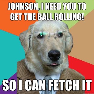 Business Dog