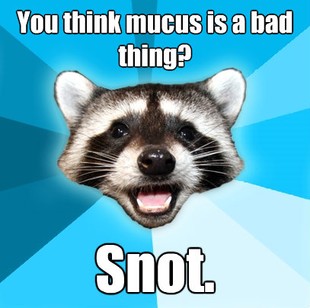 Lame Pun Coon