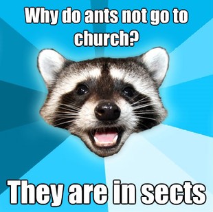 Lame Pun Coon
