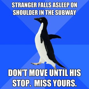 Socially Awkward Penguin