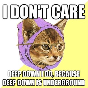 Hipster Kitty