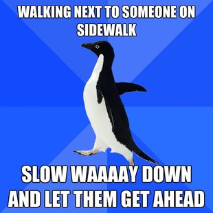 Socially Awkward Penguin