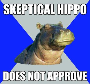 Skeptical Hippo