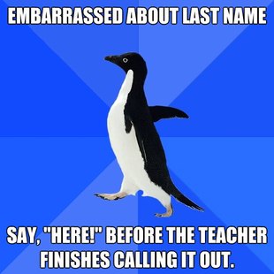 Socially Awkward Penguin