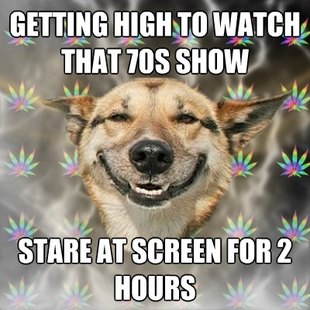 Stoner Dog