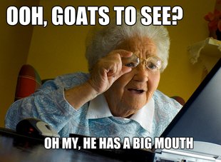 Grandma finds the Internet