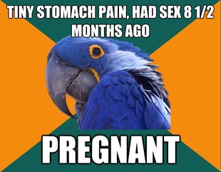 Paranoid Parrot