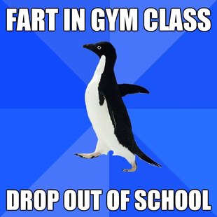 Socially Awkward Penguin