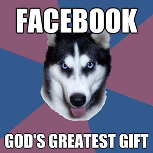 Creeper Canine