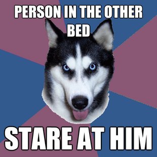 Creeper Canine