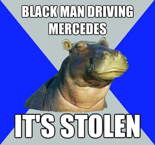 Skeptical Hippo