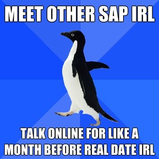 Socially Awkward Penguin