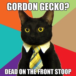 Business Cat