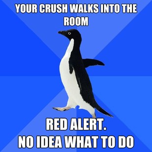 Socially Awkward Penguin